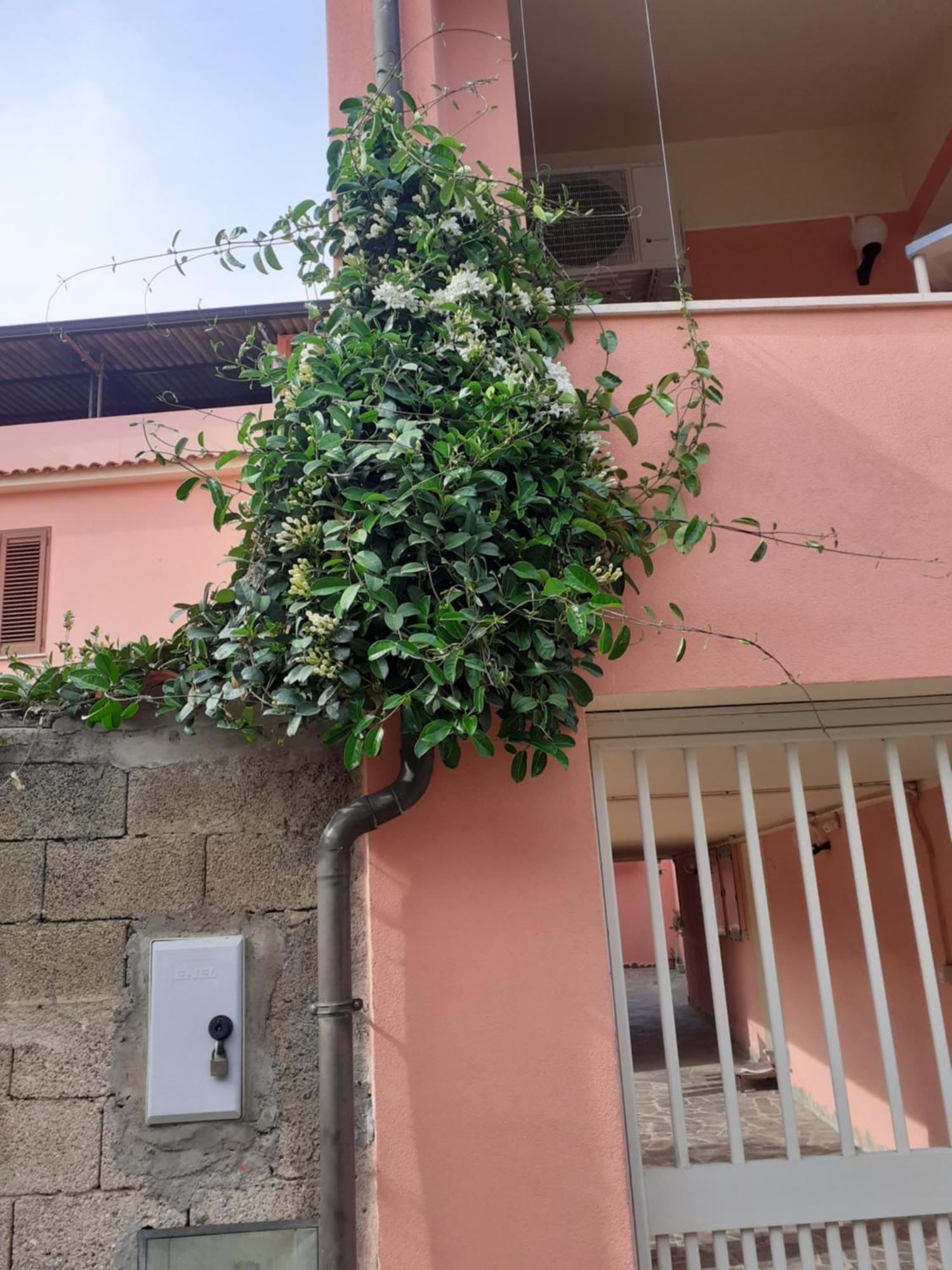 Bed and Breakfast L'Agrifoglio Di Emy Guspini Exterior foto